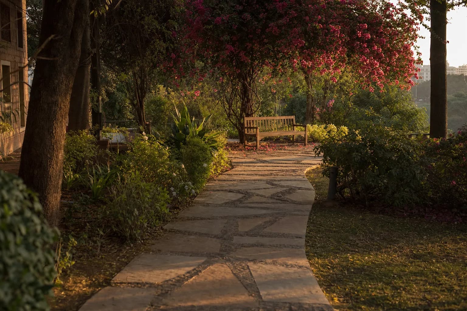 Winding flagstone path through an Indian garden at golden hour